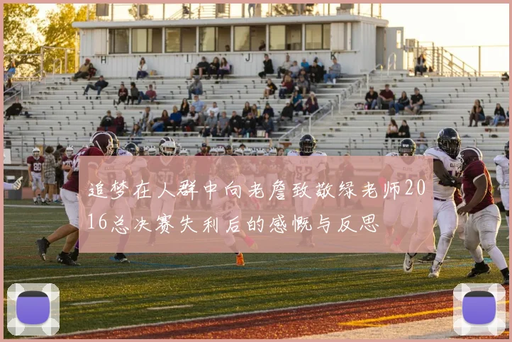 追梦在人群中向老詹致敬绿老师2016总决赛失利后的感慨与反思